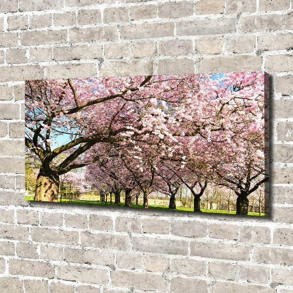 Bild auf leinwand Kirschbäume