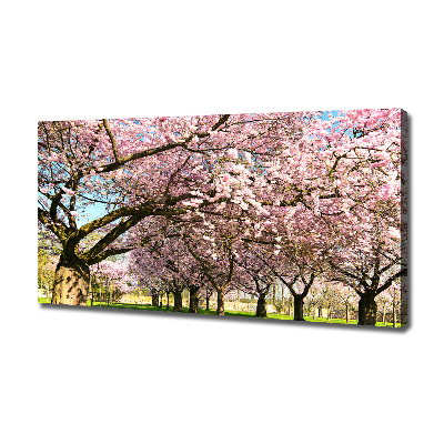 Bild auf leinwand Kirschbäume