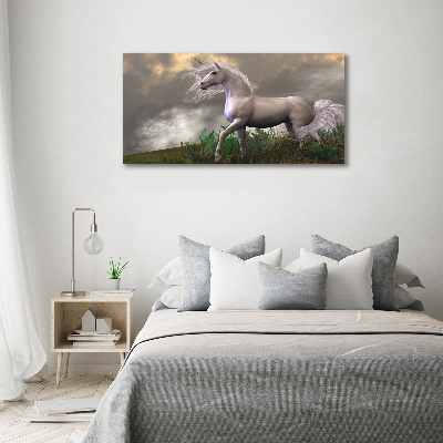 Bild auf leinwand Graues Einhorn