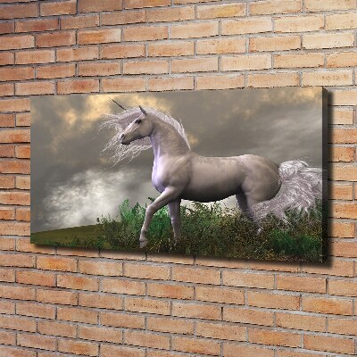 Bild auf leinwand Graues Einhorn