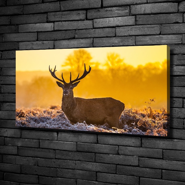 Wandbild Hirsch-Sonnenaufgang