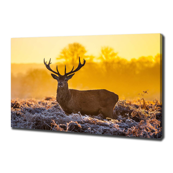 Wandbild Hirsch-Sonnenaufgang