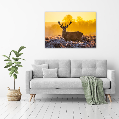 Wandbild Hirsch-Sonnenaufgang