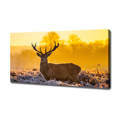 Wandbild Hirsch-Sonnenaufgang