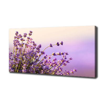 Wandbild Lavendel