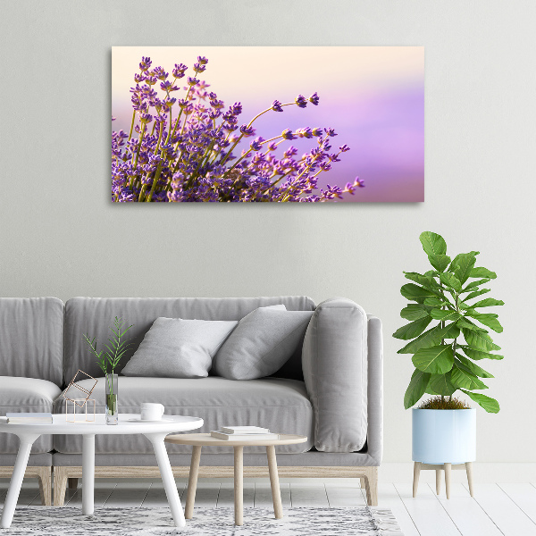 Wandbild Lavendel
