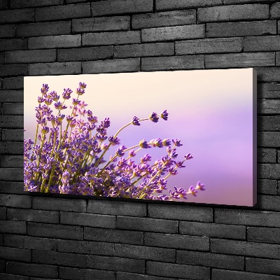 Wandbild Lavendel