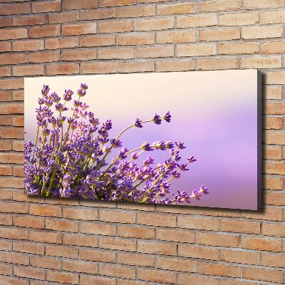 Wandbild Lavendel