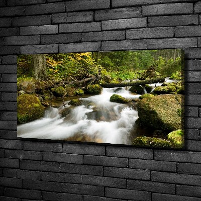 Bild auf leinwand Olczyski-Bach