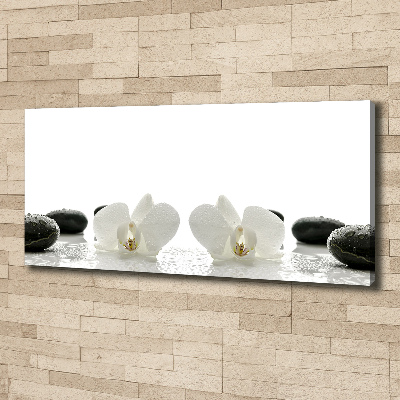 Bild auf leinwand Orchidee