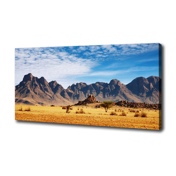 Wandbild Felsen in Namibia