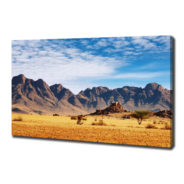 Wandbild Felsen in Namibia