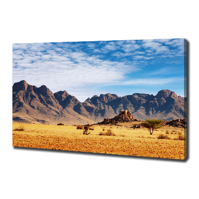 Wandbild Felsen in Namibia