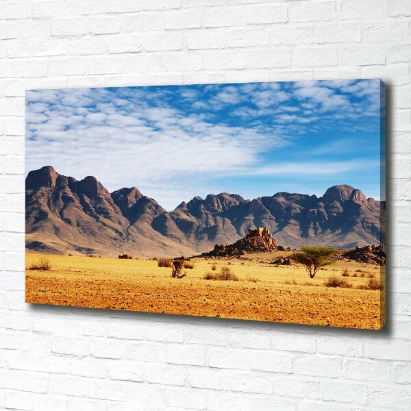 Wandbild Felsen in Namibia