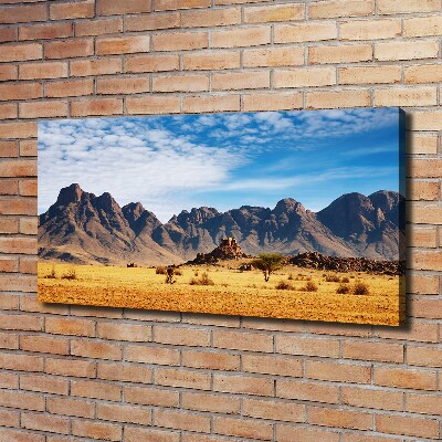 Wandbild Felsen in Namibia