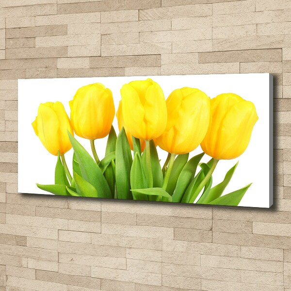 Bild auf leinwand Gelbe Tulpen
