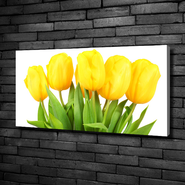 Bild auf leinwand Gelbe Tulpen