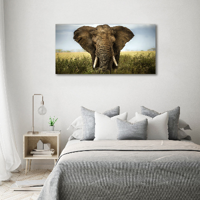 Wandbild Elefant in der Savanne