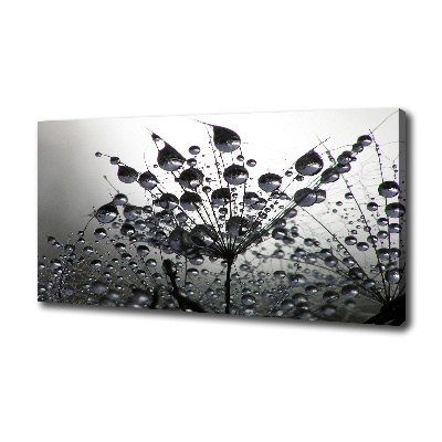 Wandbild Löwenzahnsamen