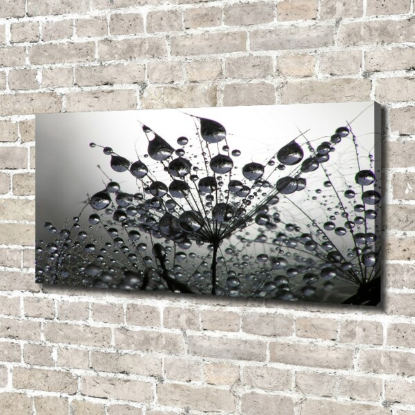 Wandbild Löwenzahnsamen