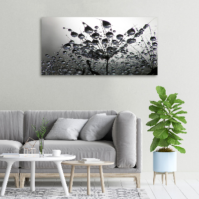 Wandbild Löwenzahnsamen