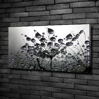 Wandbild Löwenzahnsamen