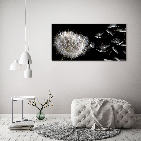 Bild auf leinwand Löwenzahn