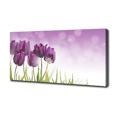 Wandbild Lila Tulpen