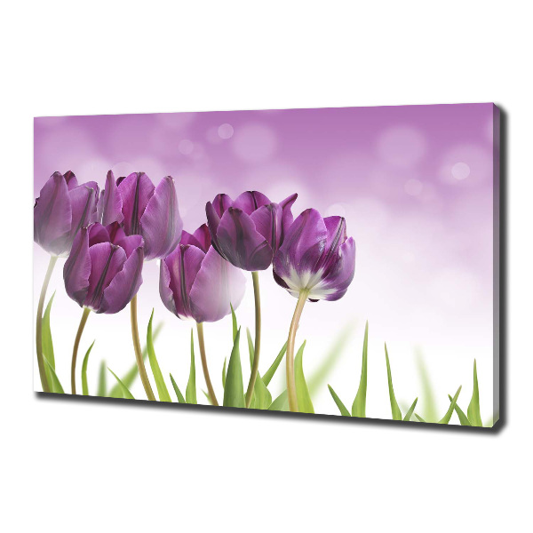 Wandbild Lila Tulpen