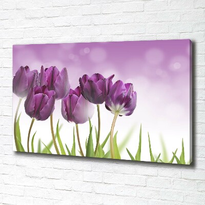 Wandbild Lila Tulpen
