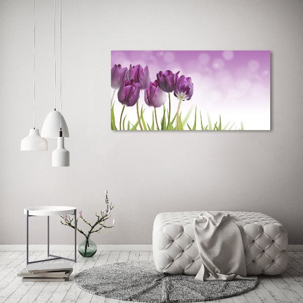 Wandbild Lila Tulpen