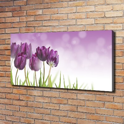 Wandbild Lila Tulpen
