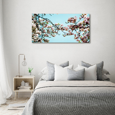 Fotobild Magnolienblüten