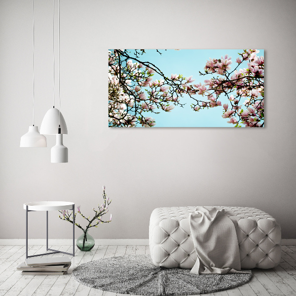 Fotobild Magnolienblüten