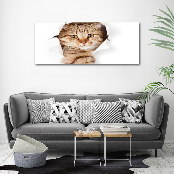 Wandbild Katze