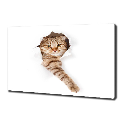 Wandbild Katze