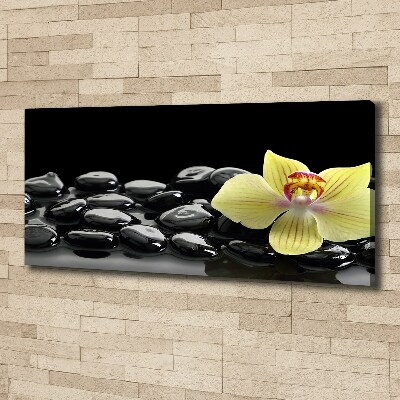 Fotobild Orchidee