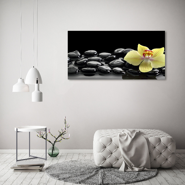 Fotobild Orchidee