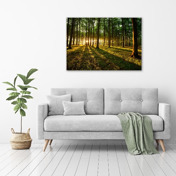 Bild auf leinwand Sonnenstrahlen