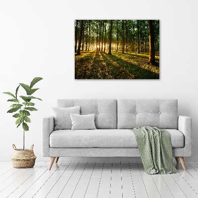 Bild auf leinwand Sonnenstrahlen