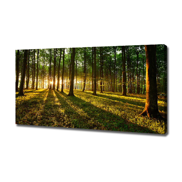 Bild auf leinwand Sonnenstrahlen