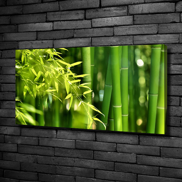 Bild auf leinwand Bambus