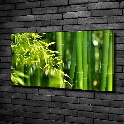 Bild auf leinwand Bambus