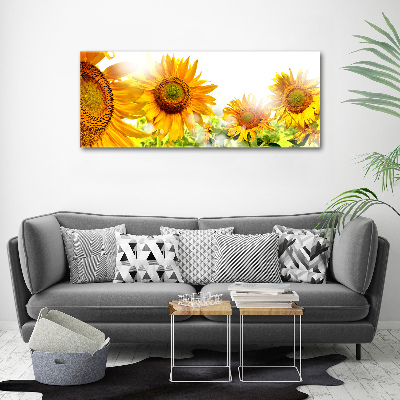 Bild auf leinwand Sonnenblumen
