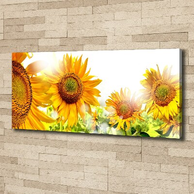 Bild auf leinwand Sonnenblumen