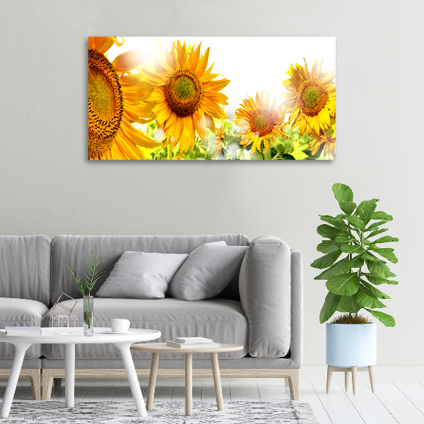 Bild auf leinwand Sonnenblumen