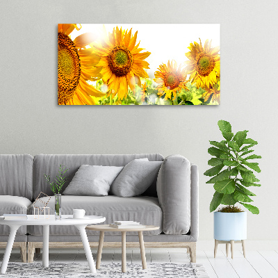 Bild auf leinwand Sonnenblumen