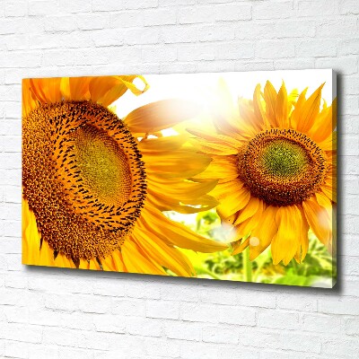 Bild auf leinwand Sonnenblumen