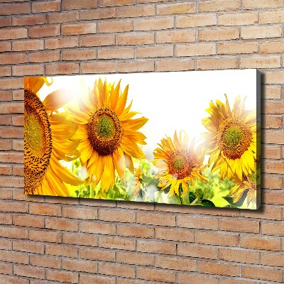 Bild auf leinwand Sonnenblumen