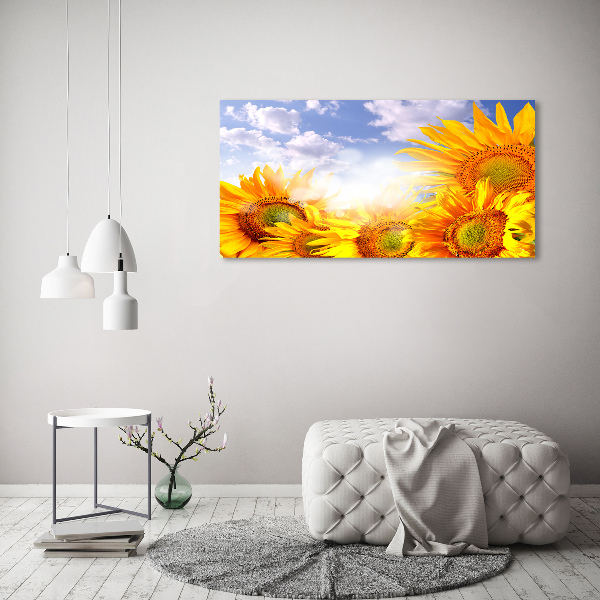 Fotobild Sonnenblumen